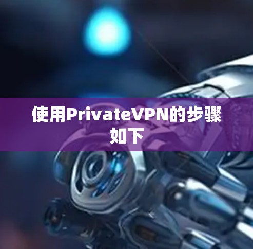 使用PrivateVPN的步骤如下
