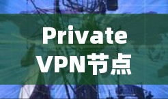 PrivateVPN节点连接检测 PrivateVPN节点连接检测