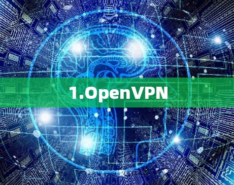 1.OpenVPN 1.OpenVPN