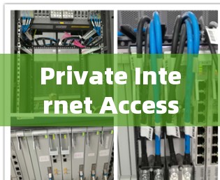 Private Internet Access软件下载指南