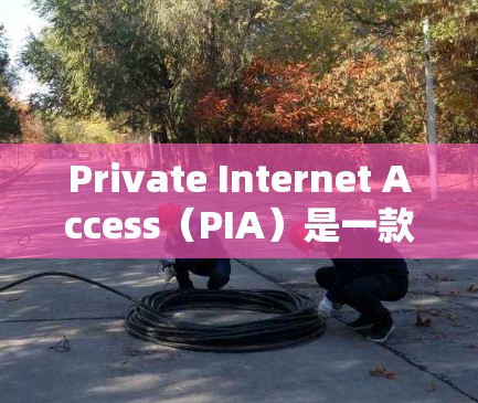 Private Internet Access(PIA)是一款广受欢迎的VPN服务,提供高效、可靠的网络安全解决方案。以下是下载并设置PIA VPN客户端的详细步骤,帮助您顺利完成配置 Private Internet Access(PIA)是一款广受欢迎的VPN服务,提供高效、可靠的网络安全解决方案。以下是下载并设置PIA VPN客户端的详细步骤,帮助您顺利完成配置