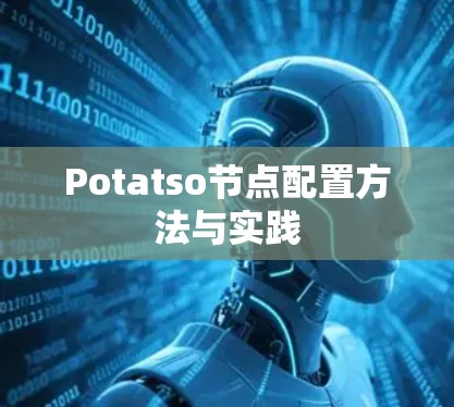 Potatso节点配置方法与实践