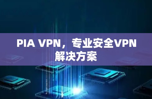 PIA VPN，专业安全VPN解决方案