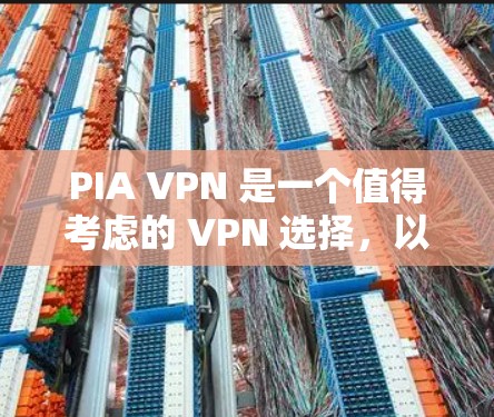 PIA VPN 是一个值得考虑的 VPN 选择，以下是其优缺点总结和建议
