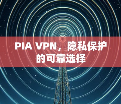 PIA VPN，隐私保护的可靠选择
