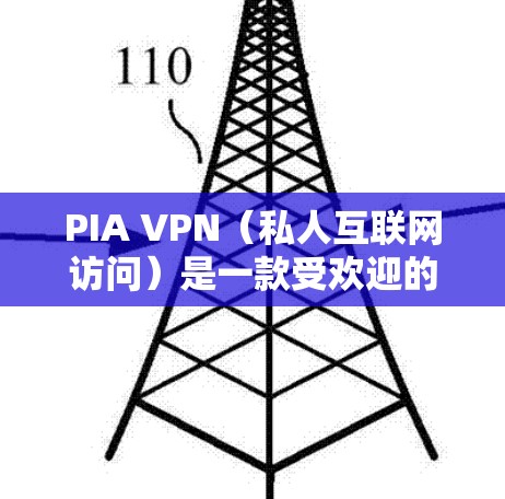 PIA VPN(私人互联网访问)是一款受欢迎的VPN服务,适合需要保护隐私和安全的用户。以下是对PIA VPN的详细分析和总结 PIA VPN(私人互联网访问)是一款受欢迎的VPN服务,适合需要保护隐私和安全的用户。以下是对PIA VPN的详细分析和总结