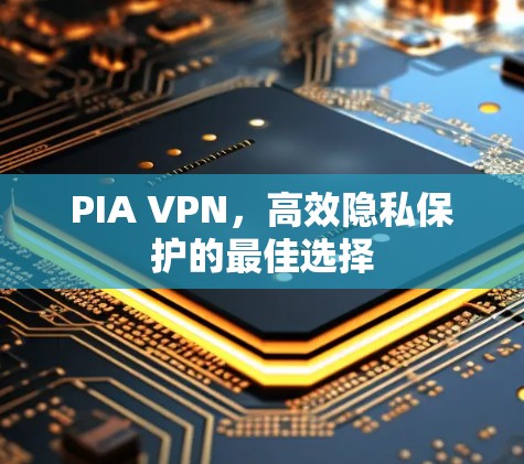 PIA VPN，高效隐私保护的最佳选择