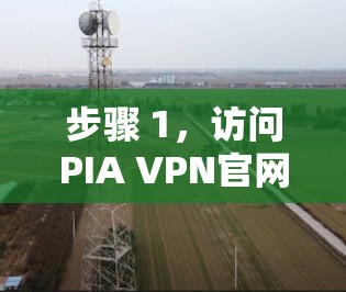 步骤 1，访问PIA VPN官网