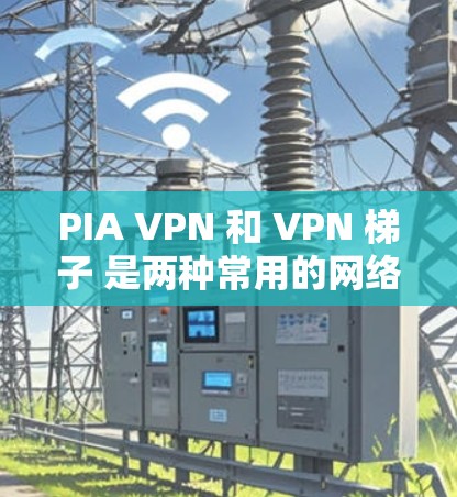 PIA VPN 和 VPN 梯子 是两种常用的网络工具，适用于不同的需求。以下是它们的区别和使用方法