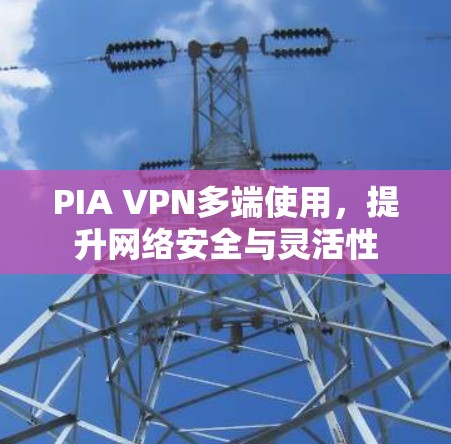 PIA VPN多端使用，提升网络安全与灵活性