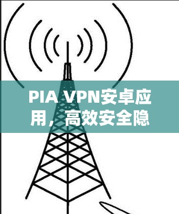 PIA VPN安卓应用，高效安全隐私保护方案