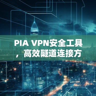 PIA VPN安全工具，高效隧道连接方案