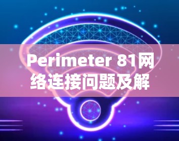 Perimeter 81网络连接问题及解决方案