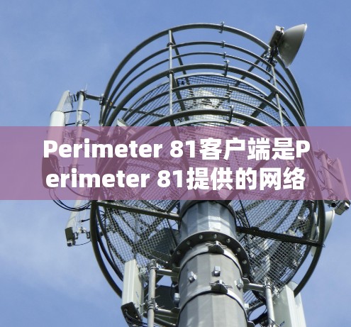Perimeter 81客户端是Perimeter 81提供的网络安全解决方案，用于保护企业网络安全。以下是下载客户端的步骤