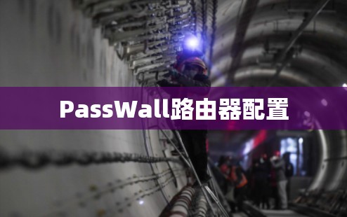 PassWall路由器配置 PassWall路由器配置
