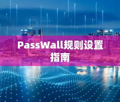 PassWall规则设置指南