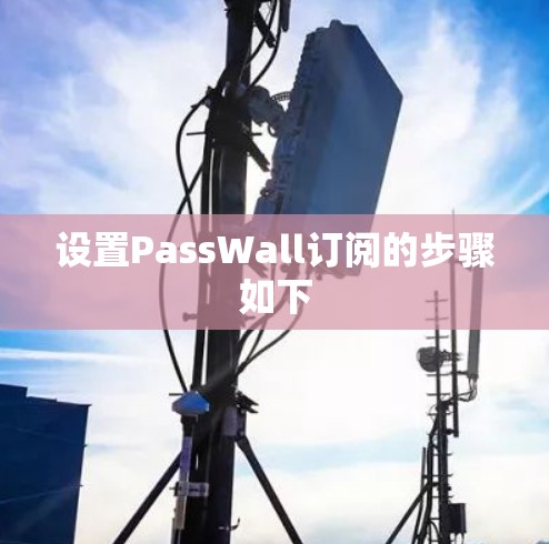 设置PassWall订阅的步骤如下 设置PassWall订阅的步骤如下