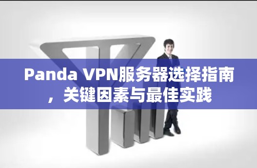 Panda VPN服务器选择指南，关键因素与最佳实践