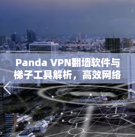 Panda VPN翻墙软件与梯子工具解析,高效网络解决方案 Panda VPN翻墙软件与梯子工具解析,高效网络解决方案