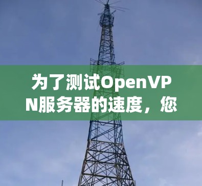 为了测试OpenVPN服务器的速度，您可以按照以下步骤进行