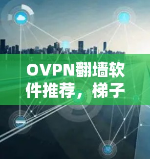 OVPN翻墙软件推荐,梯子深度解析 OVPN翻墙软件推荐,梯子深度解析