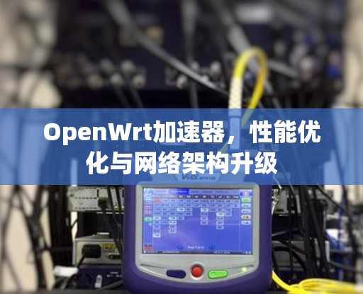 OpenWrt加速器，性能优化与网络架构升级