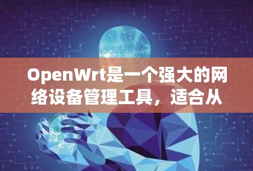 OpenWrt是一个强大的网络设备管理工具，适合从零开始配置和管理网络设备。以下是对OpenWrt的详细介绍和操作指南，帮助你顺利使用