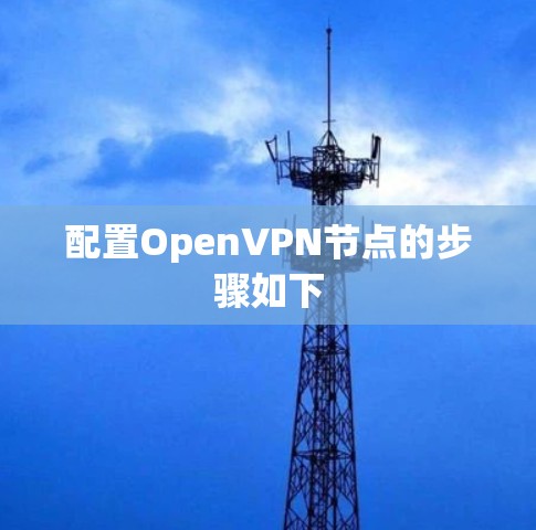 配置OpenVPN节点的步骤如下 配置OpenVPN节点的步骤如下