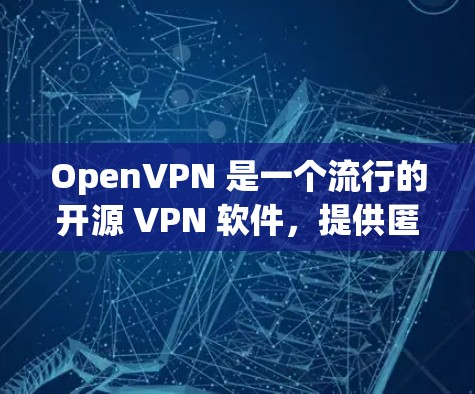 OpenVPN 是一个流行的开源 VPN 软件，提供匿名网络访问和安全连接功能。您可以通过以下步骤安装和配置 OpenVPN