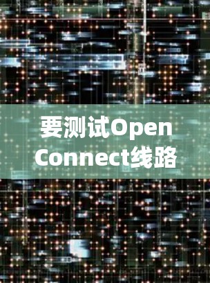 要测试OpenConnect线路,可以按照以下步骤进行 要测试OpenConnect线路,可以按照以下步骤进行