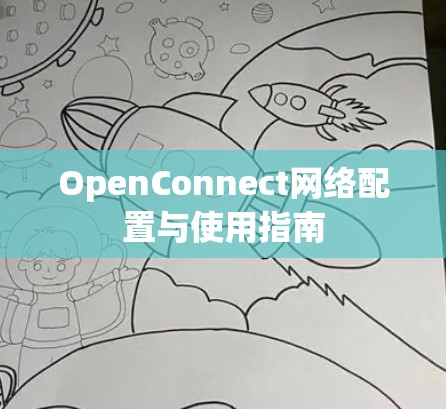 OpenConnect网络配置与使用指南 OpenConnect网络配置与使用指南