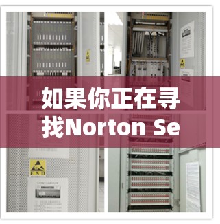 如果你正在寻找Norton Secure VPN的替代软件，以下是一些推荐的VPN工具，它们在安全性、速度和隐私保护方面都有较高的表现