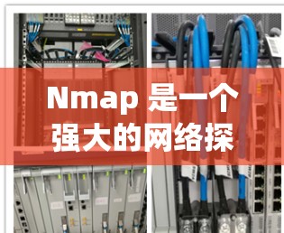 Nmap 是一个强大的网络探测工具，用于网络扫描、端口扫描、服务发现和安全评估。以下是下载 Nmap 的步骤