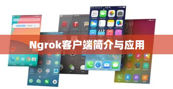 Ngrok客户端简介与应用