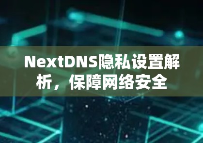 NextDNS隐私设置解析,保障网络安全 NextDNS隐私设置解析,保障网络安全
