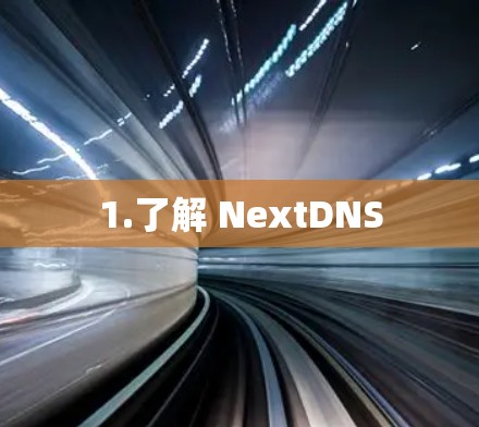 1.了解 NextDNS