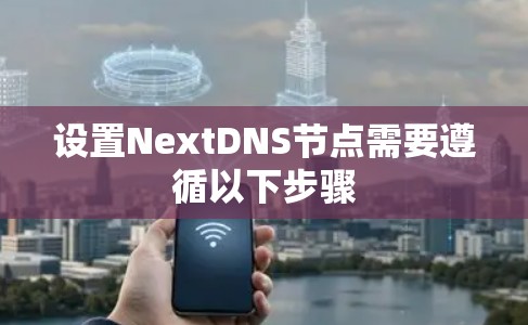 设置NextDNS节点需要遵循以下步骤