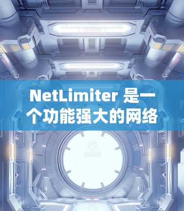 NetLimiter 是一个功能强大的网络监控工具，适合用于管理和优化网络资源。以下是对 NetLimiter 的详细分析和总结