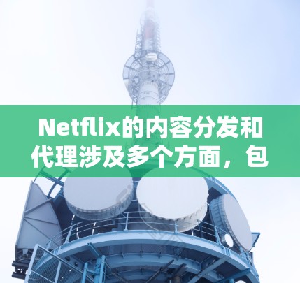 Netflix的内容分发和代理涉及多个方面，包括法律、技术和商业合作等。以下是一些关键点和建议