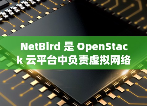 NetBird 是 OpenStack 云平台中负责虚拟网络管理的核心组件，主要用于在虚拟环境中提供和管理网络服务。以下是对 NetBird 的详细分析和步骤指南