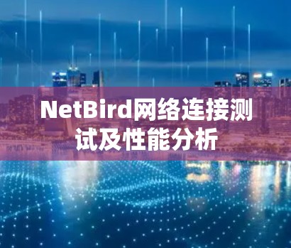 NetBird网络连接测试及性能分析