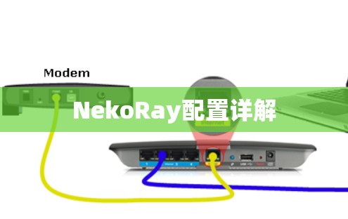 NekoRay配置详解 NekoRay配置详解