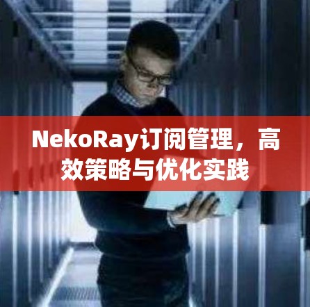 NekoRay订阅管理，高效策略与优化实践