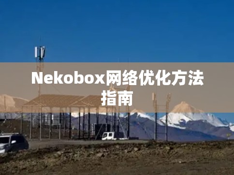 Nekobox网络优化方法指南