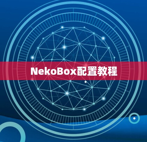 NekoBox配置教程