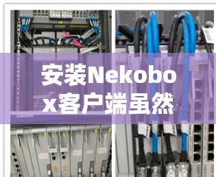 安装Nekobox客户端虽然面临一些挑战，但通过以下步骤可以顺利完成