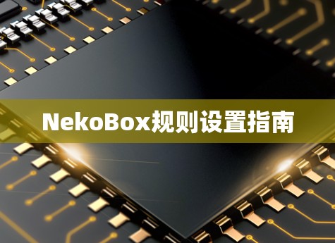 NekoBox规则设置指南 NekoBox规则设置指南