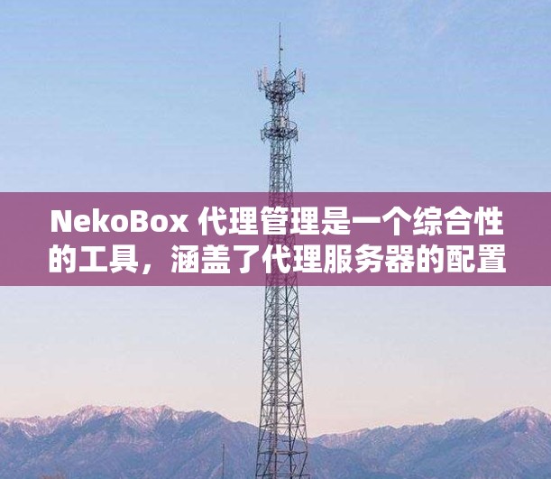 NekoBox 代理管理是一个综合性的工具，涵盖了代理服务器的配置、监控、用户管理和安全等多个方面。以下是对 NekoBox 代理管理的详细分析和总结