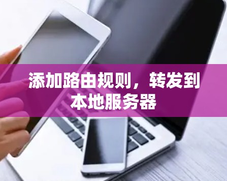 添加路由规则,转发到本地服务器 添加路由规则,转发到本地服务器
