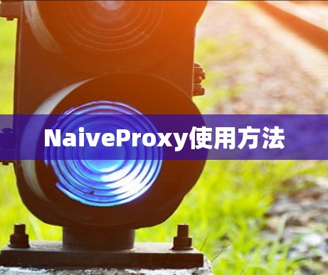NaiveProxy使用方法
